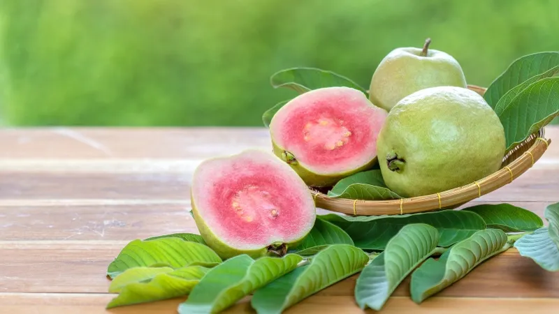 Ăn ổi nhiều có tốt không? Ăn bao nhiêu ổi 1 ngày là đủ?