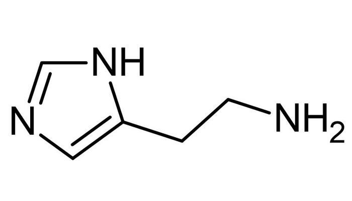 Histamine Là Gì? Vai Trò, Nguyên Nhân Tăng Histamine Và Cách Kiểm Soát