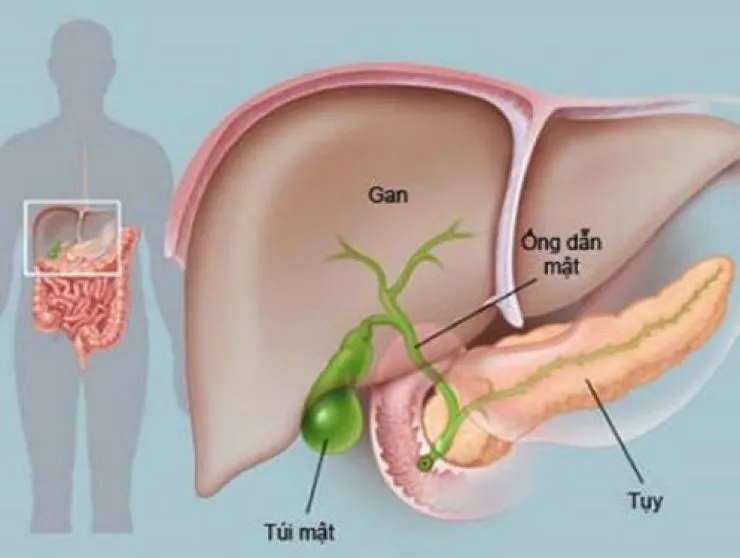 Các bài tập phù hợp với người bệnh viêm tụy