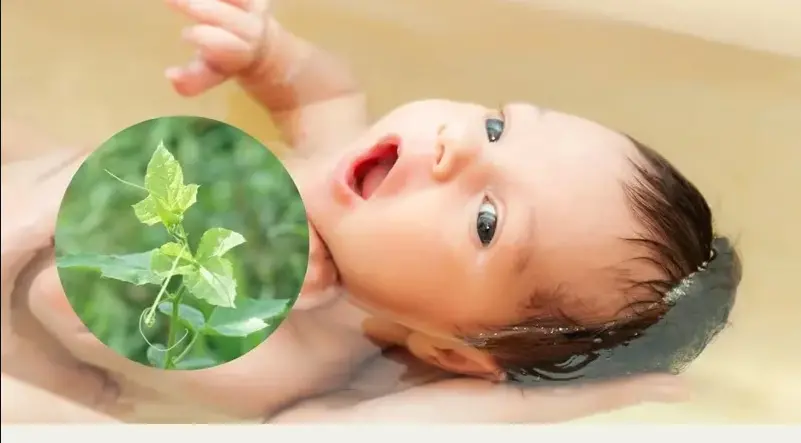 Tắm cho trẻ nhỏ: lợi ích và lưu ý khi sử dụng nước cây lạc tiên