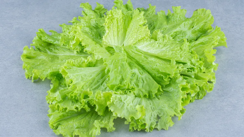 4 loại rau quen thuộc giúp giải nhiệt, hỗ trợ thanh lọc gan hiệu quả