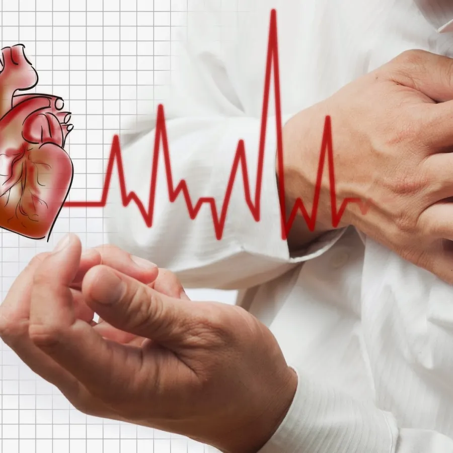 Thực phẩm tốt cho sức khỏe tim mạch của người cao tuổi